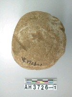藏品(石錘)的圖片